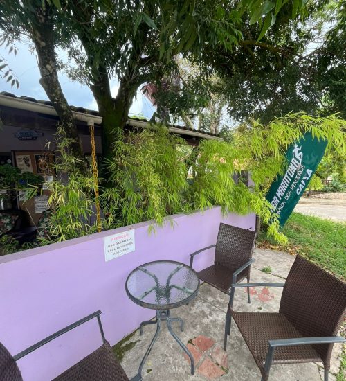 Trilha Violeta Pousada — foto 3